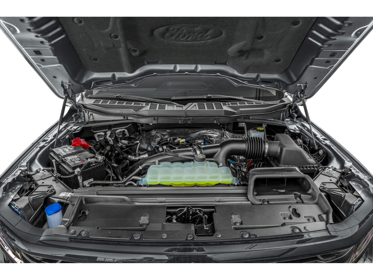 2025 Ford F-150 XLT - Photo 8