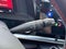 2020 Chevrolet Corvette Stingray RWD Convertible 1LT