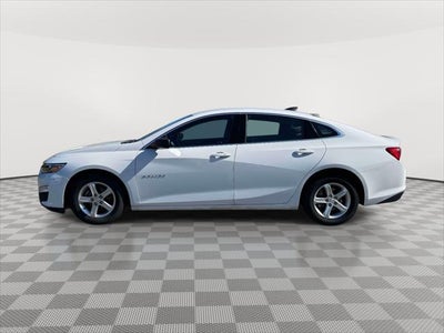2023 Chevrolet Malibu FWD 1FL