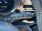 2024 Toyota Sienna Woodland Edition